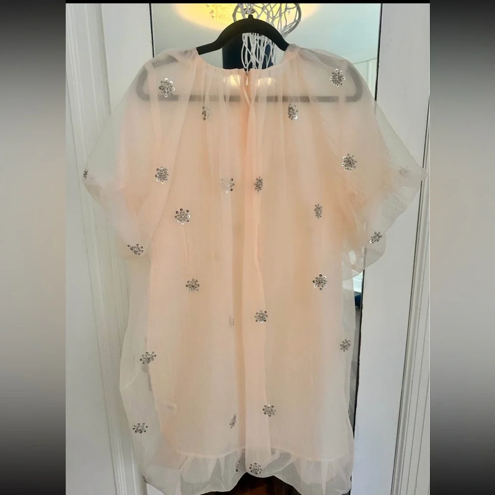 Zara tull dress - Picture 5 of 6